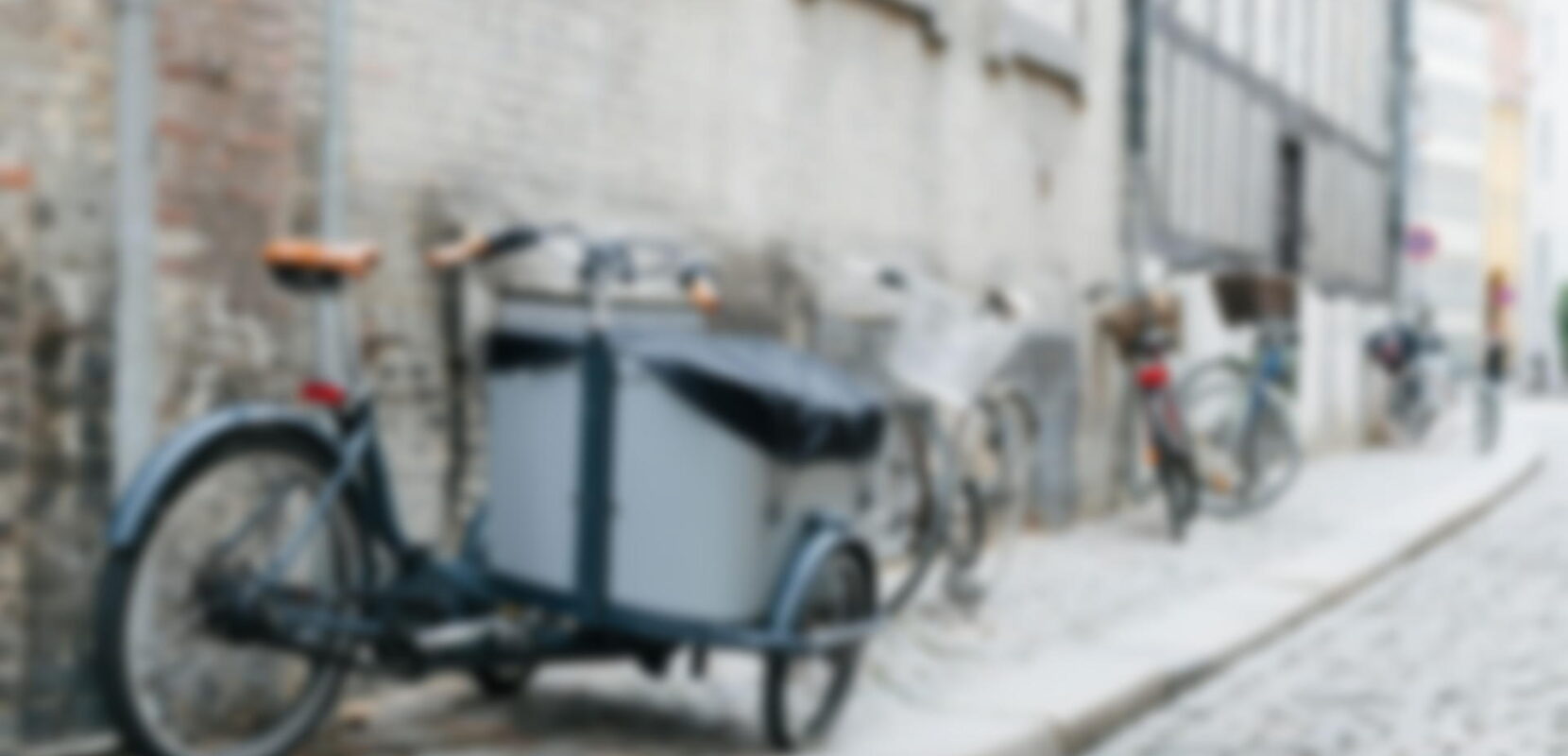 Ideas On How To Decorate Outside This Christmas  Copy